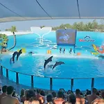 Apartment Lv Albufeira